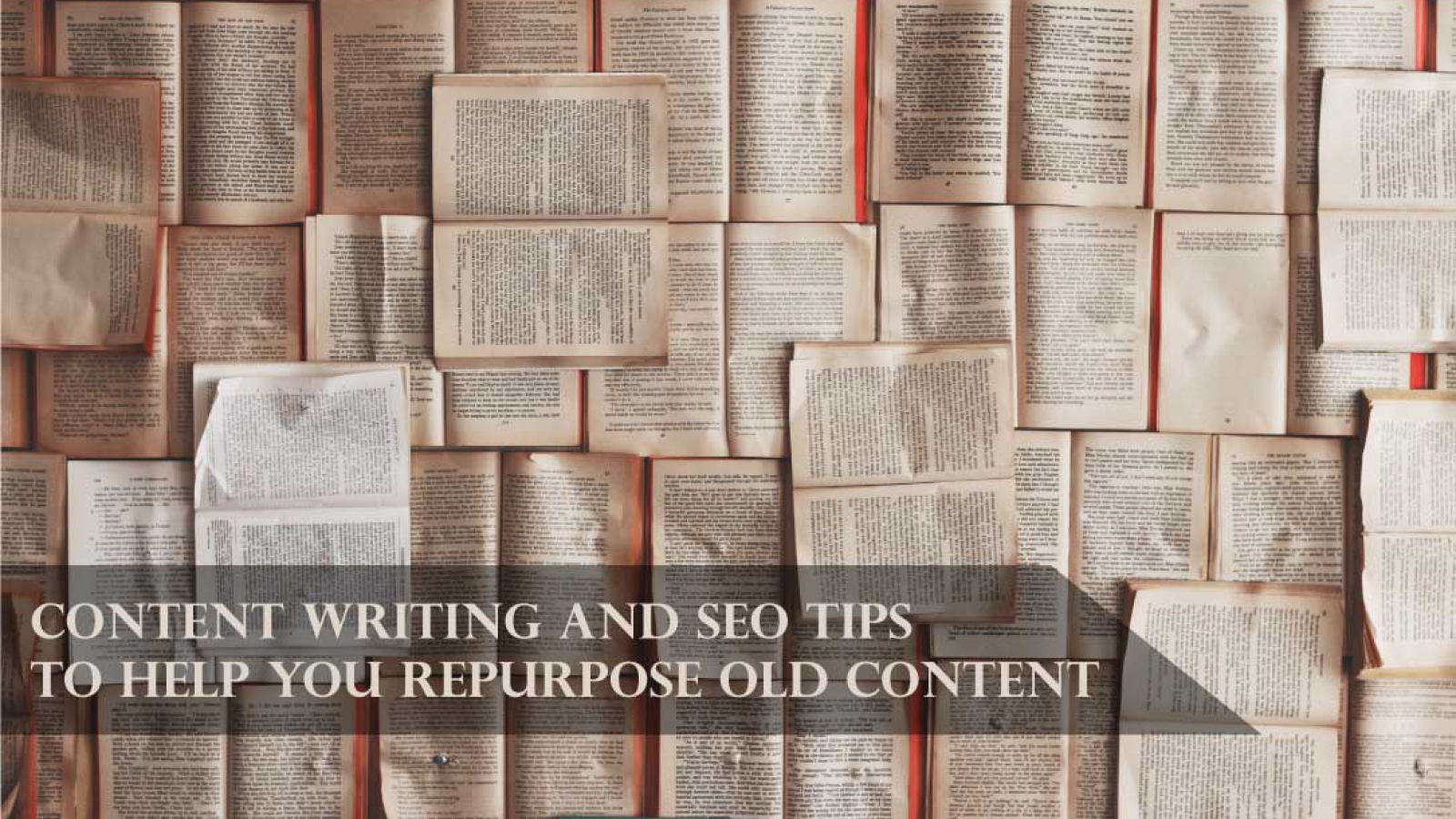 You are currently viewing Content writing and SEO tips to help you repurpose old blog posts.